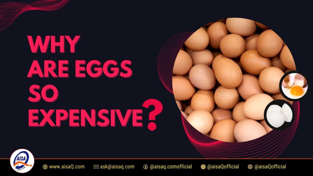 Why Are Eggs So Expensive? Understanding The Factors Behind Rising