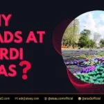 Why Beads At Mardi Gras