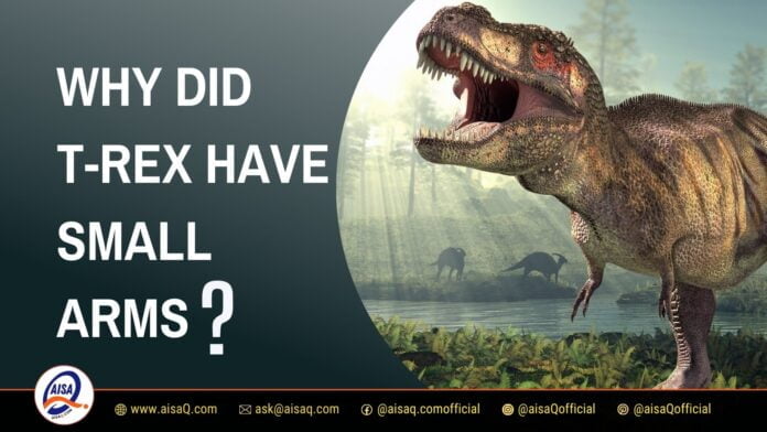 Why Did T-Rex Have Small Arms