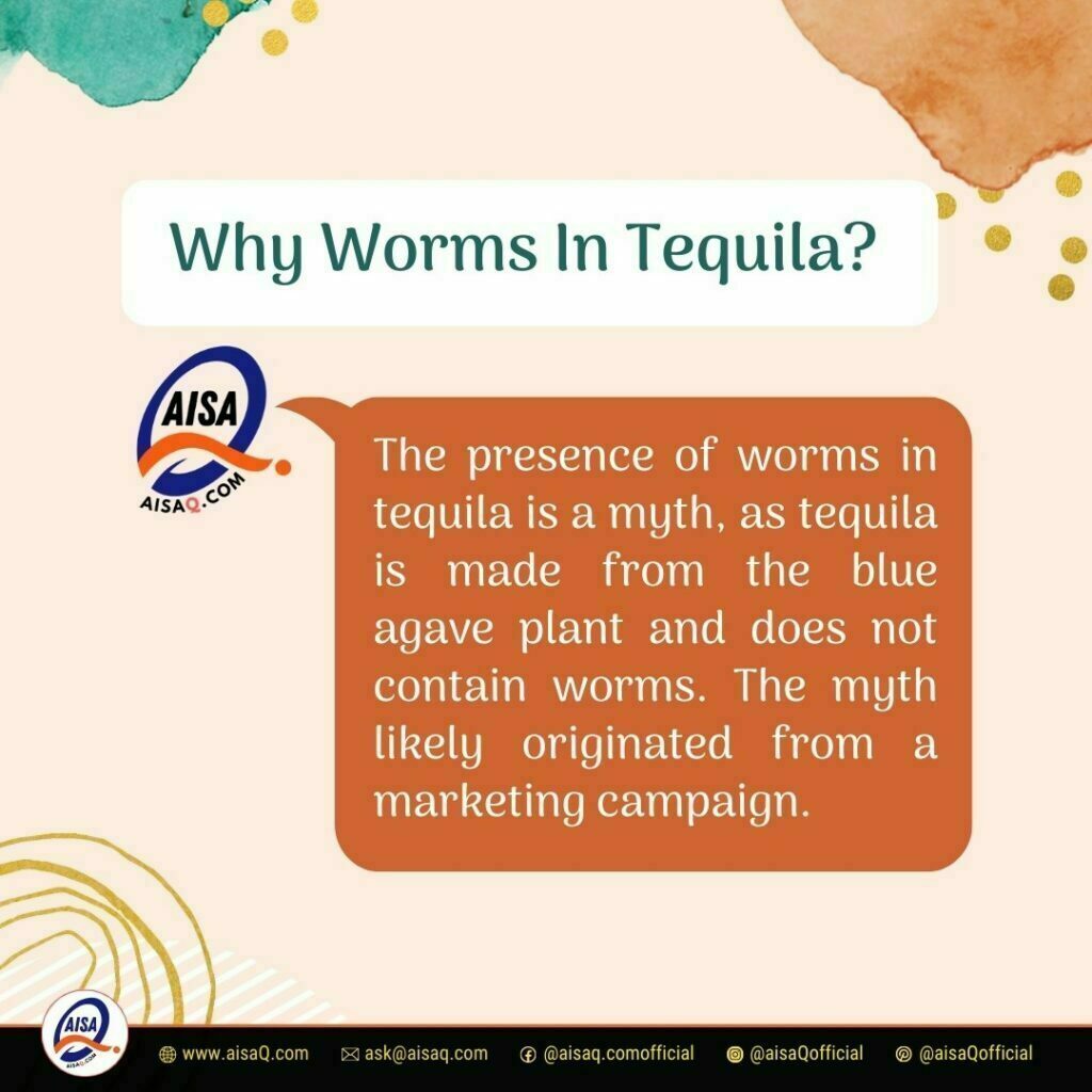 Why Worms In Tequila 1 Why Worms In Tequila 1 - https://aisaq.com/why-worms-in-tequila/