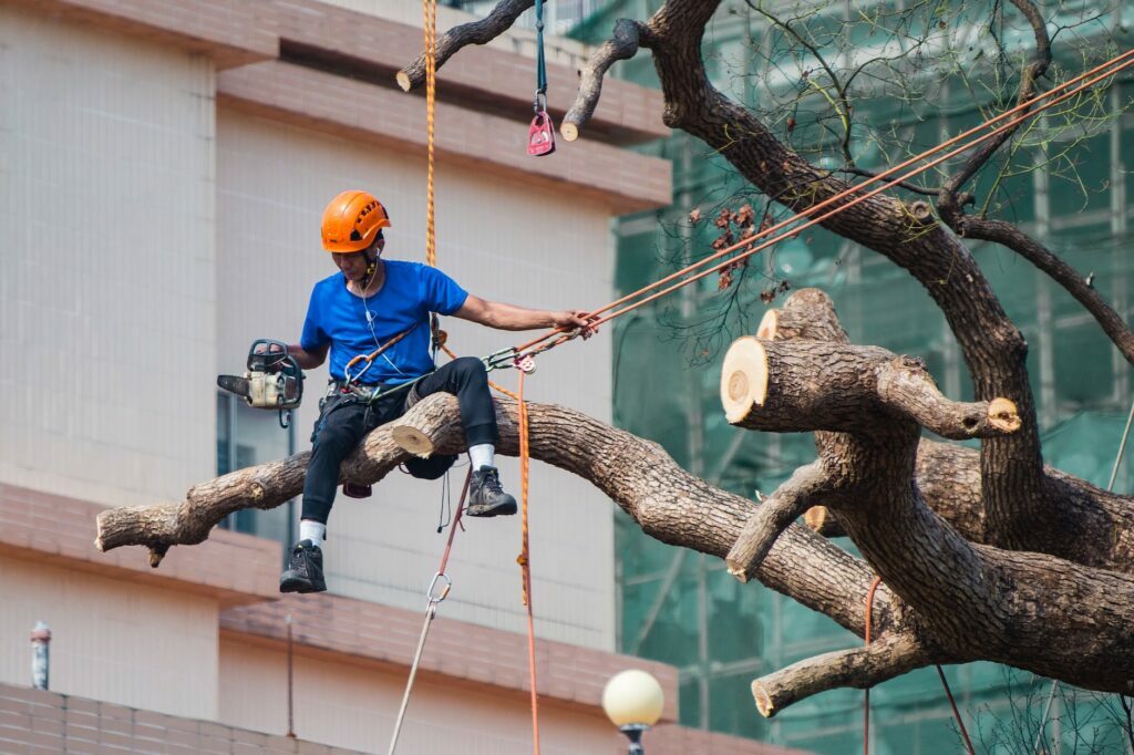 Why Were Chainsaws Invented: The Fascinating History And Evolution Of ...