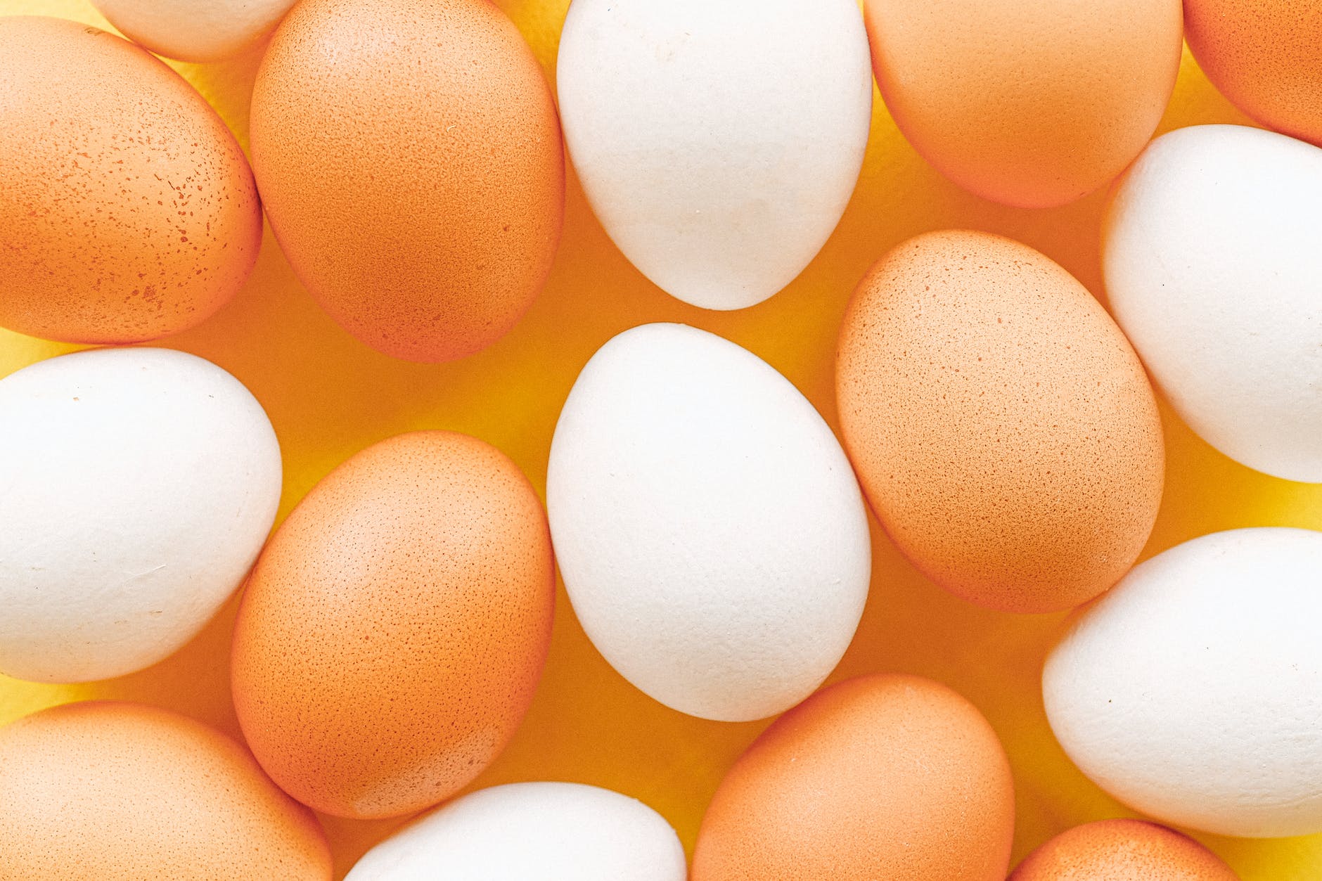 Why Are Eggs So Expensive? Understanding the Factors Behind Rising Prices 1 eggs close up